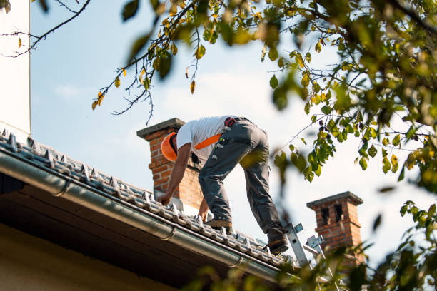 Best Roof Moss and Algae Removal  in Kenmore, NY